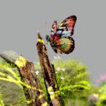 Exploring the Benefits of AI in Data
