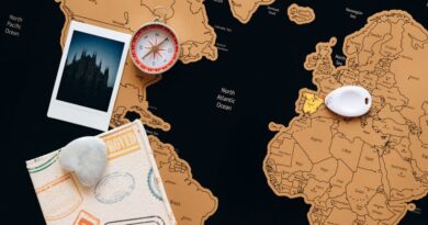 Exploring the World of Automation Software