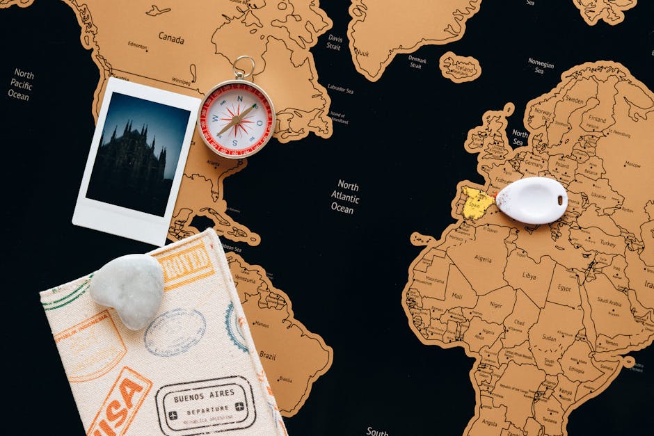 Exploring the World of Automation Software